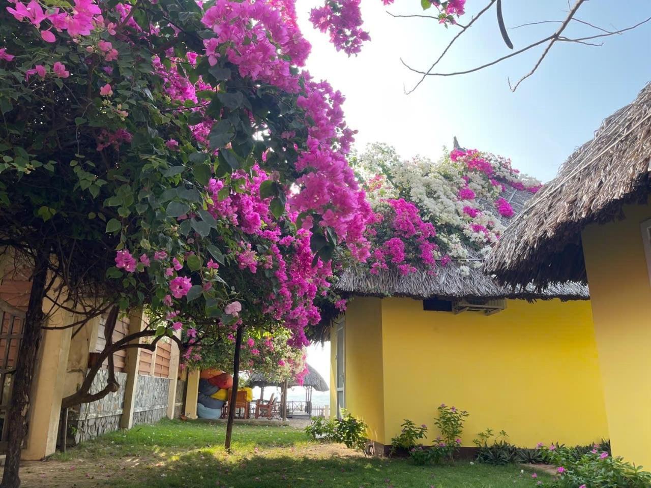 Orchid Boutique Beach Resort Phan Thiet Kültér fotó